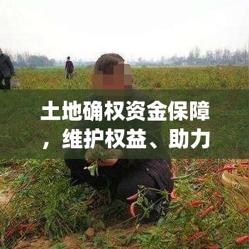 土地確權(quán)資金保障，維護(hù)權(quán)益、助力農(nóng)村發(fā)展的關(guān)鍵舉措