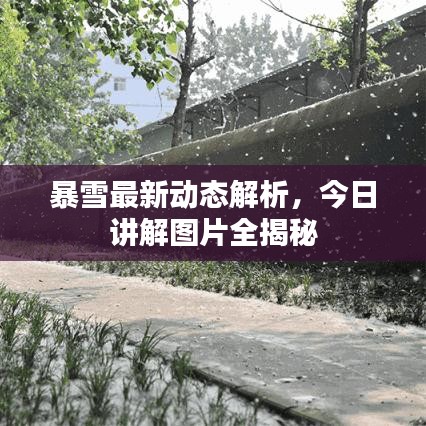 暴雪最新動態(tài)解析，今日講解圖片全揭秘
