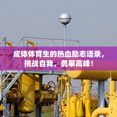 成體體育生的熱血?jiǎng)?lì)志語錄，挑戰(zhàn)自我，勇攀高峰！