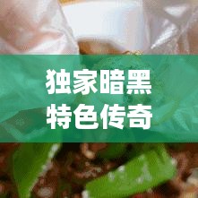 獨(dú)家暗黑特色傳奇，神秘傳奇之旅