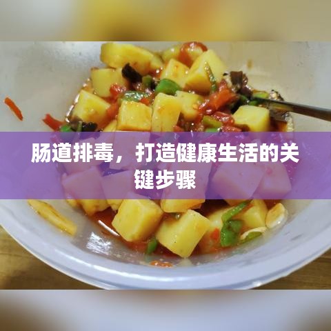 腸道排毒，打造健康生活的關(guān)鍵步驟