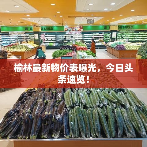 榆林最新物價(jià)表曝光，今日頭條速覽！