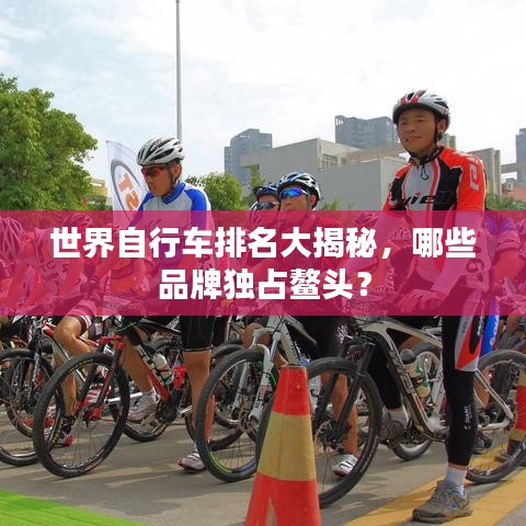 世界自行車排名大揭秘，哪些品牌獨占鰲頭？