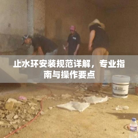 止水環(huán)安裝規(guī)范詳解，專業(yè)指南與操作要點