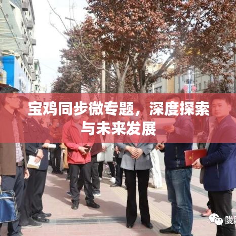 寶雞同步微專(zhuān)題，深度探索與未來(lái)發(fā)展
