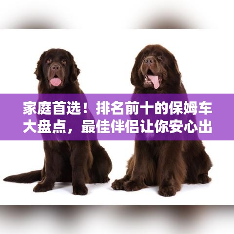 敷衍了事 第2頁(yè)