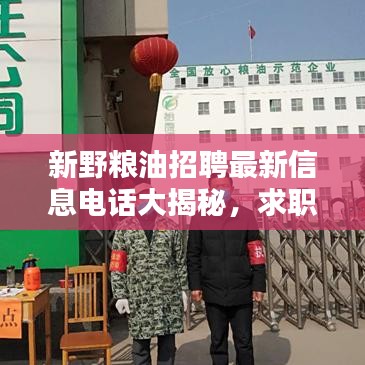新野糧油招聘最新信息電話大揭秘，求職者福音，優(yōu)質(zhì)職位等你來挑！