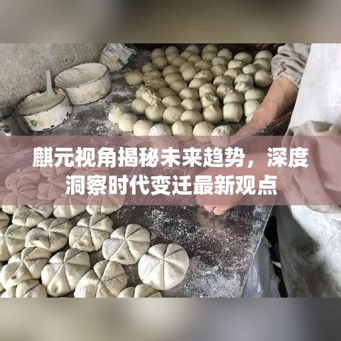 麒元視角揭秘未來趨勢，深度洞察時(shí)代變遷最新觀點(diǎn)