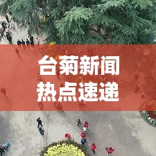臺(tái)菊新聞熱點(diǎn)速遞，最新頭條報(bào)道搶先看！