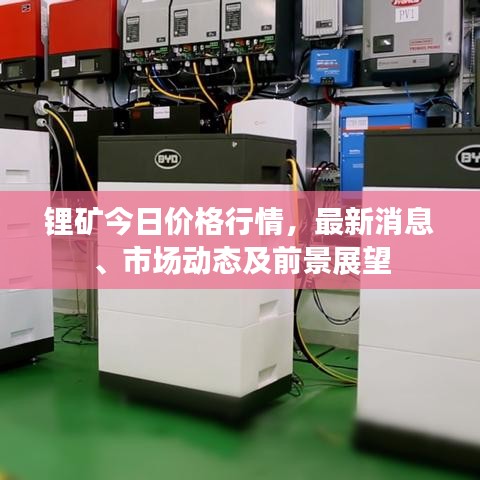 鋰礦今日價(jià)格行情，最新消息、市場(chǎng)動(dòng)態(tài)及前景展望