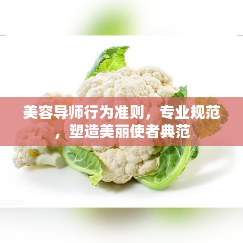 美容導(dǎo)師行為準(zhǔn)則，專業(yè)規(guī)范，塑造美麗使者典范