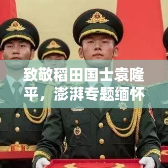 致敬稻田國士袁隆平，澎湃專題緬懷傳奇人生