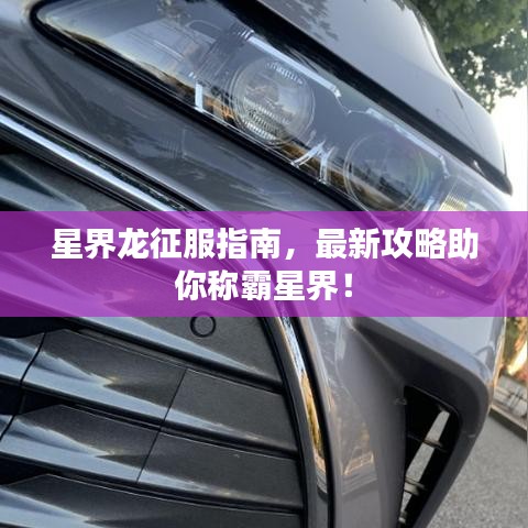 沉厚寡言 第2頁