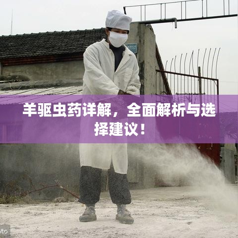 羊驅(qū)蟲藥詳解，全面解析與選擇建議！