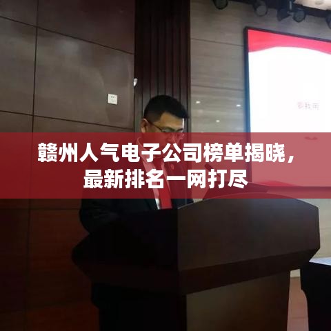 贛州人氣電子公司榜單揭曉，最新排名一網(wǎng)打盡