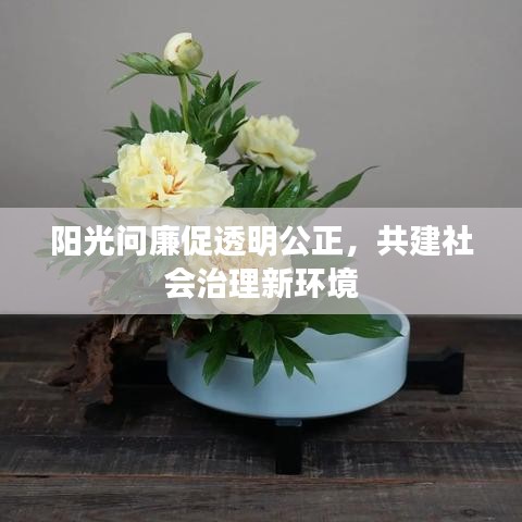 陽(yáng)光問(wèn)廉促透明公正，共建社會(huì)治理新環(huán)境