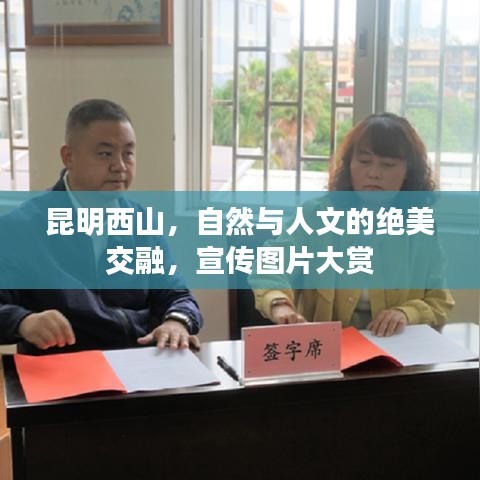 飛珠濺玉 第2頁(yè)