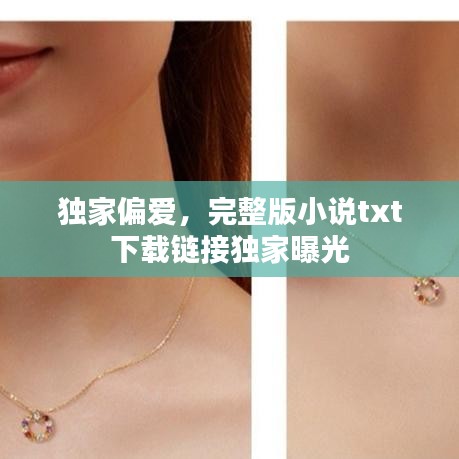獨(dú)家偏愛，完整版小說txt下載鏈接獨(dú)家曝光