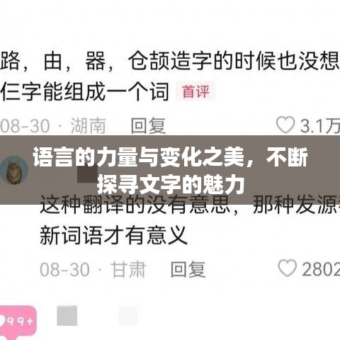 語言的力量與變化之美，不斷探尋文字的魅力