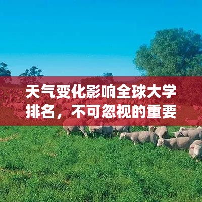 天氣變化影響全球大學(xué)排名，不可忽視的重要因素！