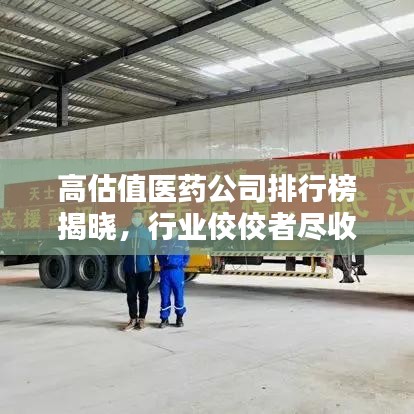 高估值醫(yī)藥公司排行榜揭曉，行業(yè)佼佼者盡收眼底！