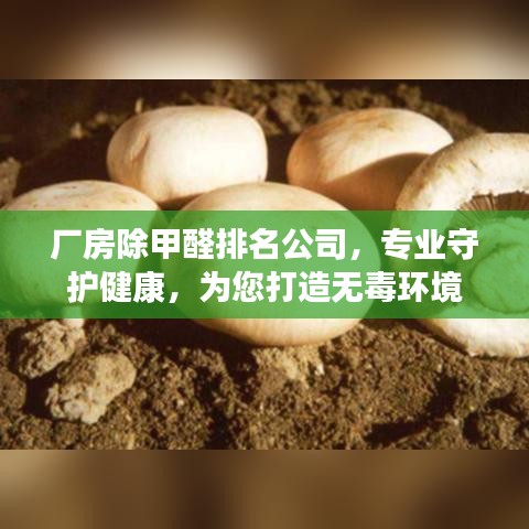廠(chǎng)房除甲醛排名公司，專(zhuān)業(yè)守護(hù)健康，為您打造無(wú)毒環(huán)境