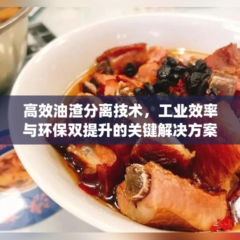 高效油渣分離技術(shù)，工業(yè)效率與環(huán)保雙提升的關(guān)鍵解決方案