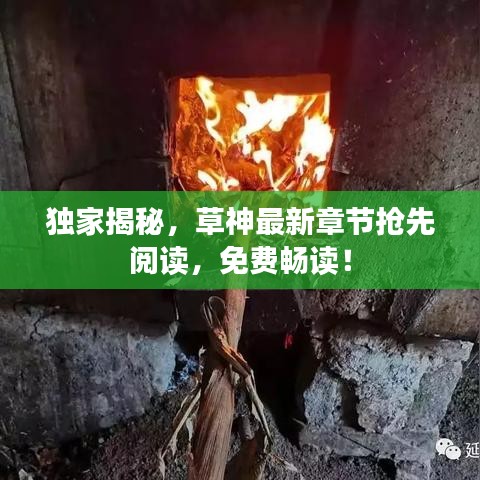 獨家揭秘，草神最新章節(jié)搶先閱讀，免費暢讀！