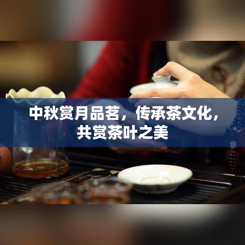 中秋賞月品茗，傳承茶文化，共賞茶葉之美