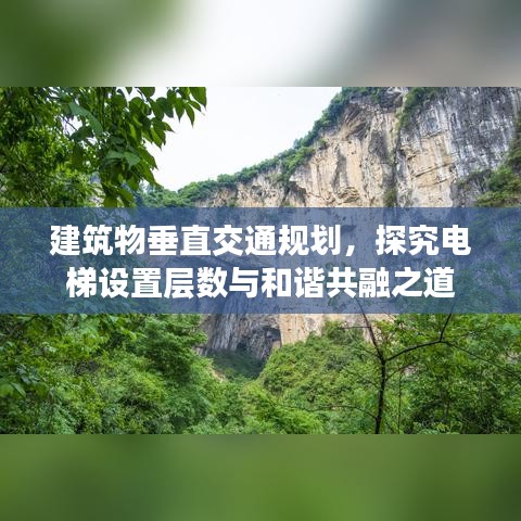 建筑物垂直交通規(guī)劃，探究電梯設(shè)置層數(shù)與和諧共融之道