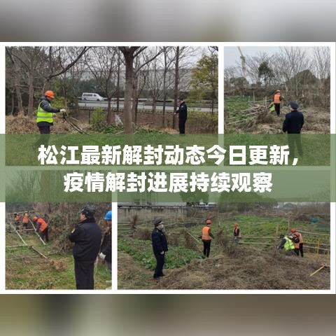 松江最新解封動(dòng)態(tài)今日更新，疫情解封進(jìn)展持續(xù)觀察