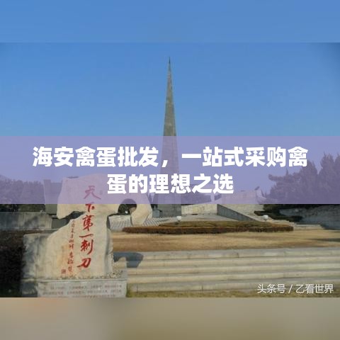 海安禽蛋批發(fā)，一站式采購禽蛋的理想之選