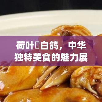 荷葉焗白鴿，中華獨特美食的魅力展現(xiàn)