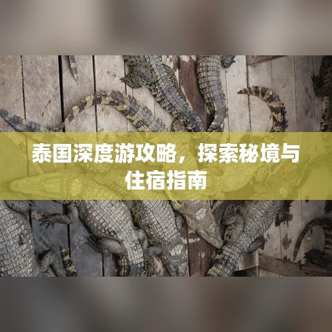 泰國深度游攻略，探索秘境與住宿指南