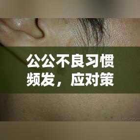 公公不良習(xí)慣頻發(fā)，應(yīng)對策略與改善方法探討
