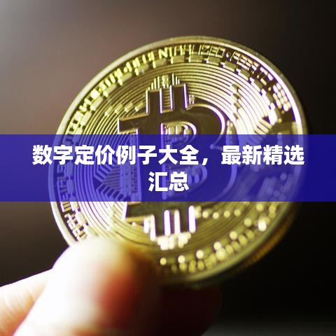 數(shù)字定價例子大全，最新精選匯總
