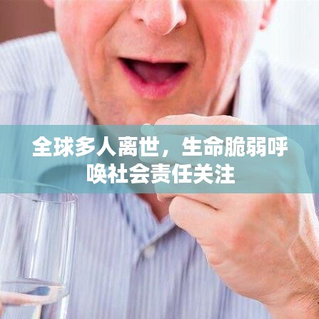 全球多人離世，生命脆弱呼喚社會責任關注
