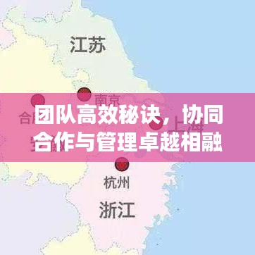團隊高效秘訣，協(xié)同合作與管理卓越相融合
