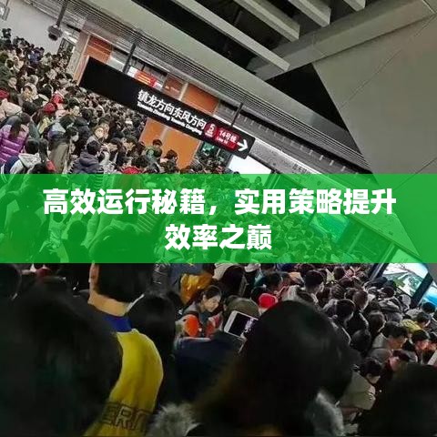 高效運(yùn)行秘籍，實(shí)用策略提升效率之巔