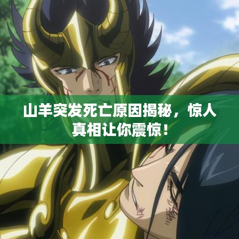 山羊突發(fā)死亡原因揭秘，驚人真相讓你震驚！