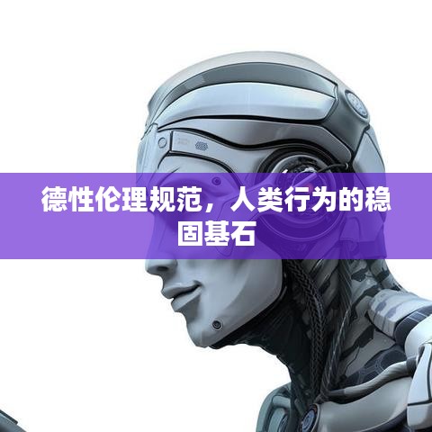 德性倫理規(guī)范，人類行為的穩(wěn)固基石