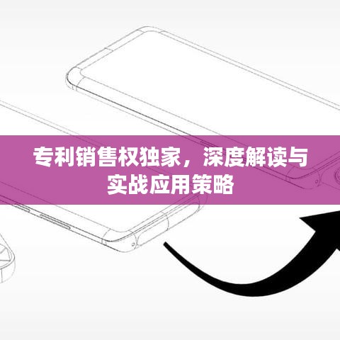 專(zhuān)利銷(xiāo)售權(quán)獨(dú)家，深度解讀與實(shí)戰(zhàn)應(yīng)用策略