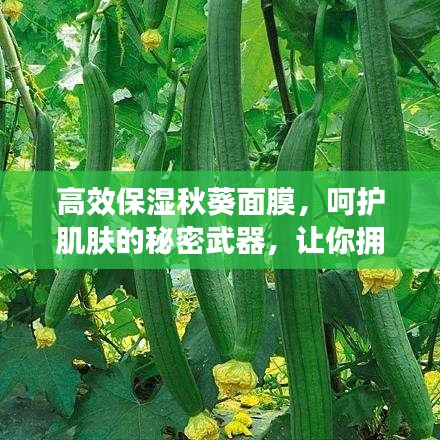 蜎飛蠢動 第2頁