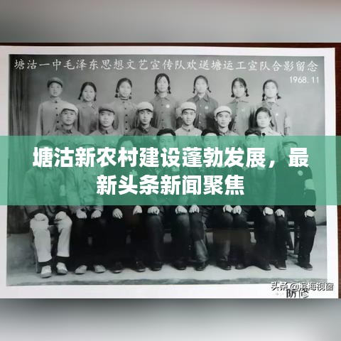 塘沽新農(nóng)村建設(shè)蓬勃發(fā)展，最新頭條新聞聚焦