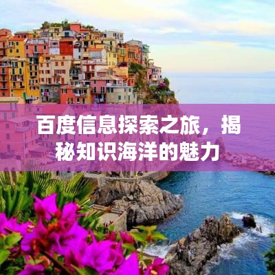 百度信息探索之旅，揭秘知識海洋的魅力