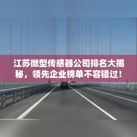江蘇微型傳感器公司排名大揭秘，領(lǐng)先企業(yè)榜單不容錯(cuò)過！