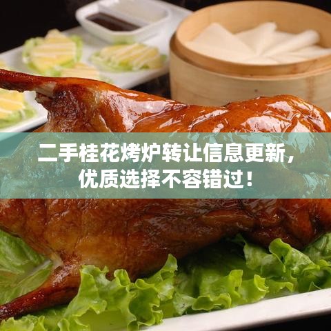 二手桂花烤爐轉(zhuǎn)讓信息更新，優(yōu)質(zhì)選擇不容錯(cuò)過！