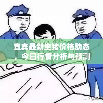 宜賓最新生豬價(jià)格動(dòng)態(tài)，今日行情分析與預(yù)測(cè)