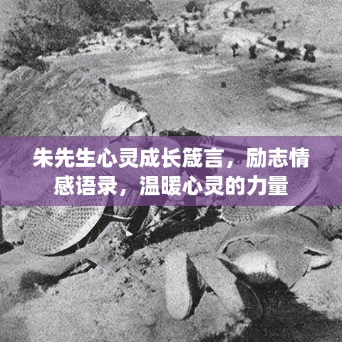朱先生心靈成長(zhǎng)箴言，勵(lì)志情感語(yǔ)錄，溫暖心靈的力量