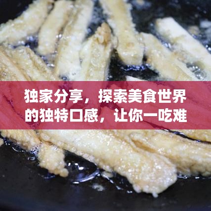 獨(dú)家分享，探索美食世界的獨(dú)特口感，讓你一吃難忘！